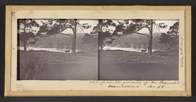 View from the Grounds of Mr. Freundt, Mendocino by Carleton E. Watkins
